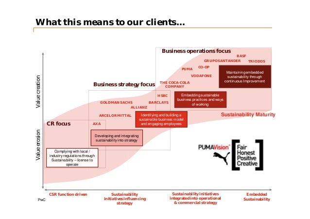 Role of accounting firms - PWC