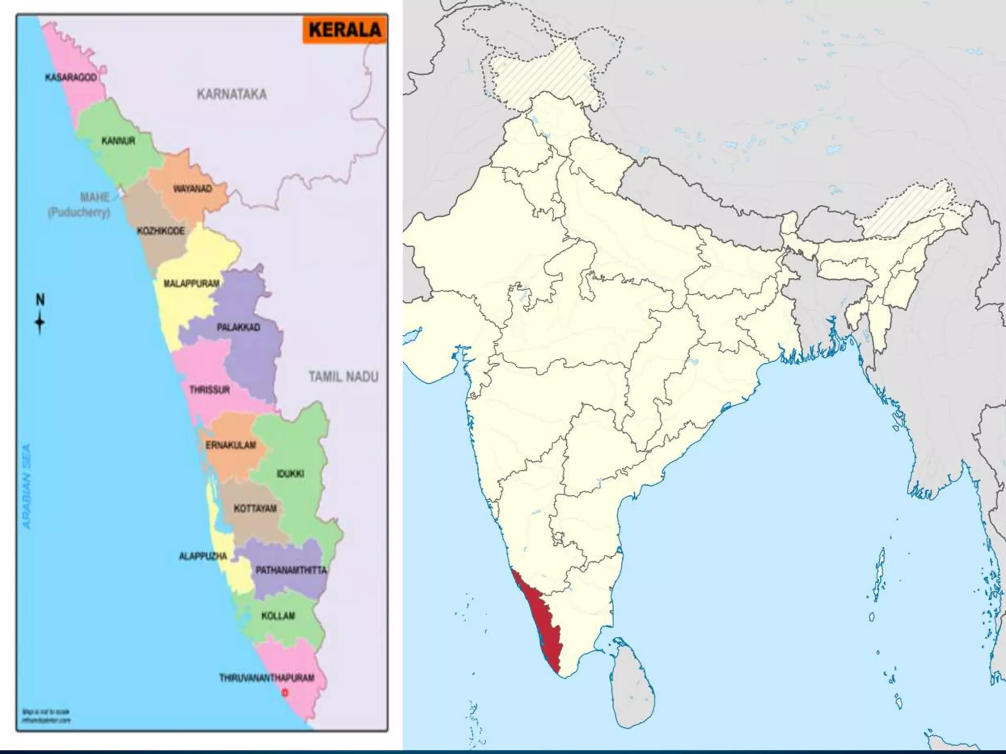 Role of the govt. in health class 7th civics | PPTX