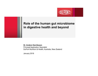 Role of the human gut microbiome
in digestive health and beyond
Dr. Anders Henriksson
Principal Application Specialist
DuPont Nutrition & Health, Australia, New Zealand
January 2018
 