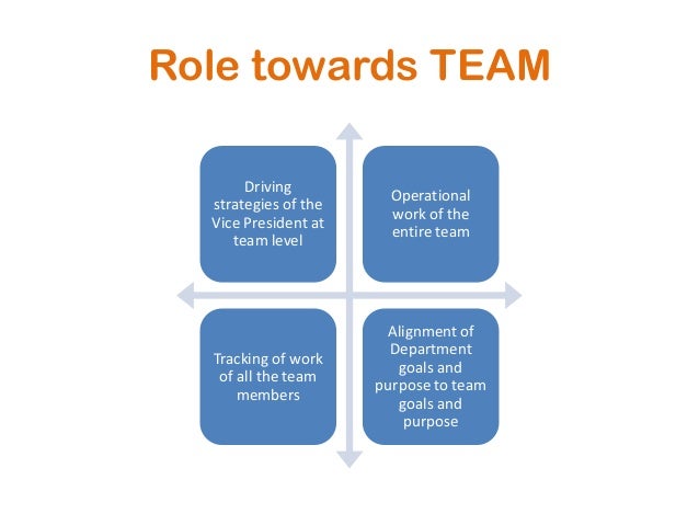 role of team leader a team leader