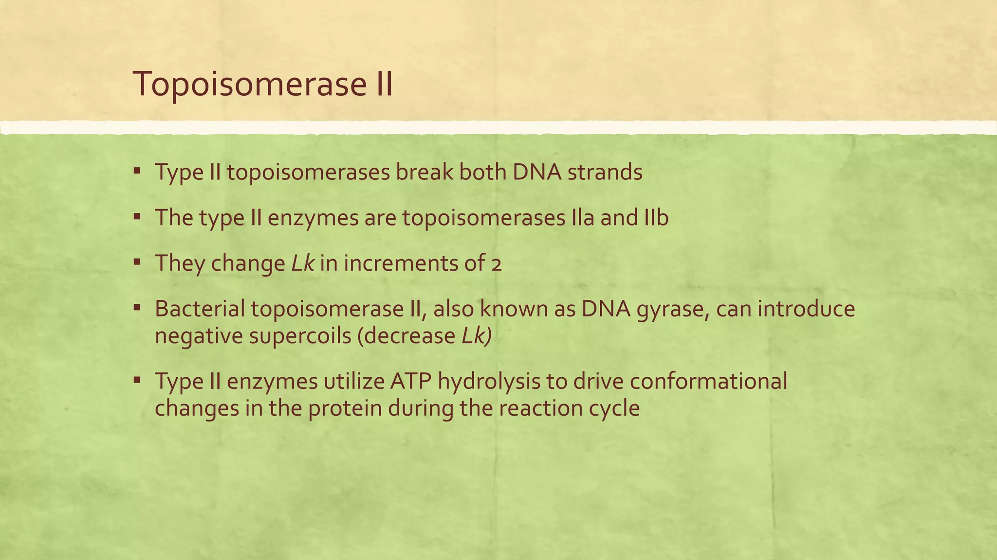 Role of Topoisomerase I and II in DNA Topology.pptx | Chemistry | Science