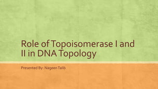 Role ofTopoisomerase I and
II in DNATopology
Presented By: NageenTalib
 