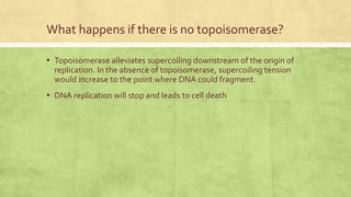 Role of Topoisomerase I and II in DNA Topology.pptx