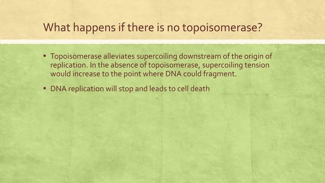 Role of Topoisomerase I and II in DNA Topology.pptx | Chemistry | Science