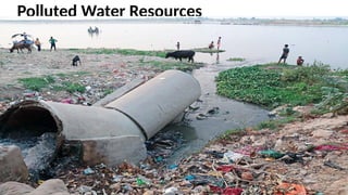 Polluted Water Resources
 