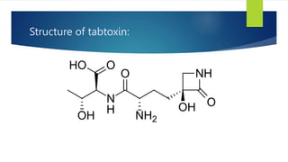 Tabtoxin Structure Role of toxins and Enzymes in Pathogensis.pptx