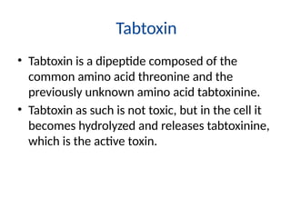 Tabtoxin Structure 11.Role of Toxins in Pathogenesis -.pptx
