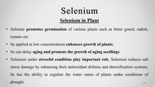 Selenium
• Selenate promotes germination of various plants such as bitter gourd, radish,
tomato etc.
• Se applied at low concentrations enhances growth of plants.
• Se can delay aging and promote the growth of aging seedlings
• Selenium under stressful condition play important role. Selenium reduces salt
stress damage by enhancing their antioxidant defense and detoxification systems.
Se has the ability to regulate the water status of plants under conditions of
drought.
Selenium in Plant
 