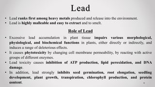 Lead
• Lead ranks first among heavy metals produced and release into the environment.
• Lead is highly malleable and easy to extract and to smelt.
• Excessive lead accumulation in plant tissue impairs various morphological,
physiological, and biochemical functions in plants, either directly or indirectly, and
induces a range of deleterious effects.
• It causes phytotoxicity by changing cell membrane permeability, by reacting with active
groups of different enzymes.
• Lead toxicity causes inhibition of ATP production, lipid peroxidation, and DNA
damage.
• In addition, lead strongly inhibits seed germination, root elongation, seedling
development, plant growth, transpiration, chlorophyll production, and protein
content.
Role of Lead
 