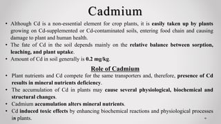 Cadmium
• Although Cd is a non-essential element for crop plants, it is easily taken up by plants
growing on Cd-supplemented or Cd-contaminated soils, entering food chain and causing
damage to plant and human health.
• The fate of Cd in the soil depends mainly on the relative balance between sorption,
leaching, and plant uptake.
• Amount of Cd in soil generally is 0.2 mg/kg.
• Plant nutrients and Cd compete for the same transporters and, therefore, presence of Cd
results in mineral nutrients deficiency.
• The accumulation of Cd in plants may cause several physiological, biochemical and
structural changes.
• Cadmium accumulation alters mineral nutrients.
• Cd induced toxic effects by enhancing biochemical reactions and physiological processes
in plants.
Role of Cadmium
 
