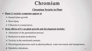 Chromium
 Plant Cr toxicity symptoms appear as
 Stunted plant growth
 Root injury
 Chlorosis in young leaves.
 Toxic effects of Cr on plant growth and development include:
 Alterations in the germination process.
 Reduction in plant production.
 Toxicity in the nutritional contents.
 Physiological processes such as photosynthesis, water movement and transpiration.
 Metabolic alterations.
Chromium Toxicity in Plant
 
