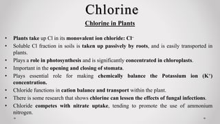 Chlorine
Chlorine in Plants
• Plants take up Cl in its monovalent ion chloride: Cl–
• Soluble Cl fraction in soils is taken up passively by roots, and is easily transported in
plants.
• Plays a role in photosynthesis and is significantly concentrated in chloroplasts.
• Important in the opening and closing of stomata.
• Plays essential role for making chemically balance the Potassium ion (K+)
concentration.
• Chloride functions in cation balance and transport within the plant.
• There is some research that shows chlorine can lessen the effects of fungal infections.
• Chloride competes with nitrate uptake, tending to promote the use of ammonium
nitrogen.
 