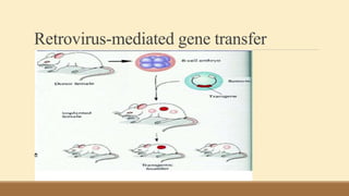 Role Of Transgenic Animal In Target Validation-1.pptx