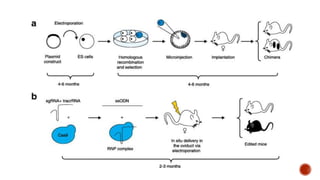 Role of transgenic animal in target validation.pptx