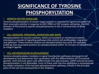 Role of Tyrosine Kinase in cancer | PPTX