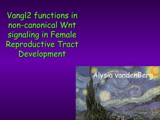 Alysia vandenBerg
Vangl2 functions inVangl2 functions in
non-canonical Wntnon-canonical Wnt
signaling in Femalesignaling in Female
Reproductive TractReproductive Tract
DevelopmentDevelopment
 