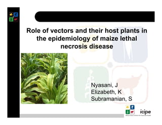 Role of vectors and their host plants in
the epidemiology of maize lethal
necrosis disease
Nyasani, J
Elizabeth, K
Subramanian, S
 