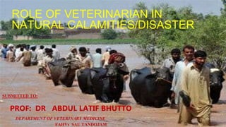 ROLE OF VETERINARIAN IN
NATURAL CALAMITIES/DISASTER
SUBMITTED TO:
PROF: DR ABDUL LATIF BHUTTO
DEPARTMENT OF VETERINARY MEDICINE
FAHVs SAU TANDOJAM
 
