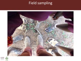 The role of veterinary science in international development