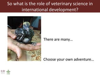 The role of veterinary science in international development