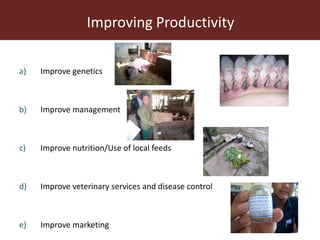 The role of veterinary science in international development