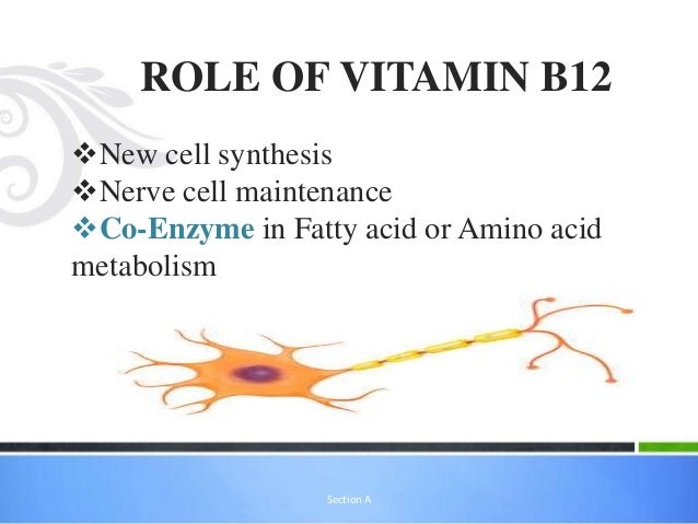 Role Of Vitamins In Body