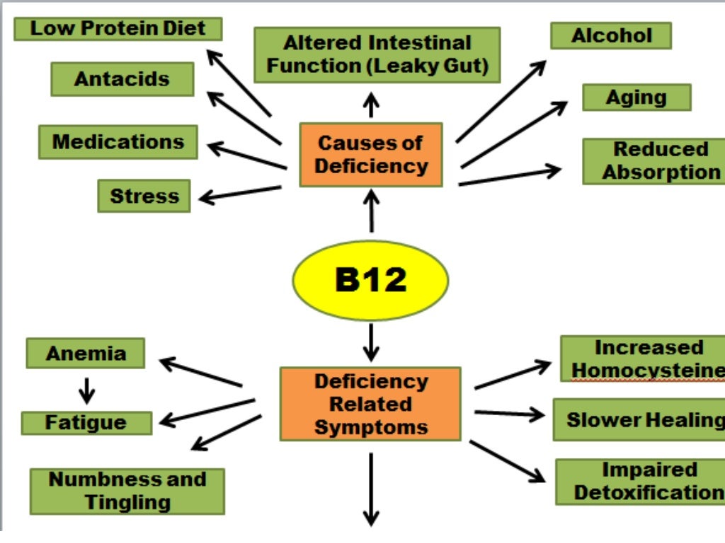 Role of vit b12