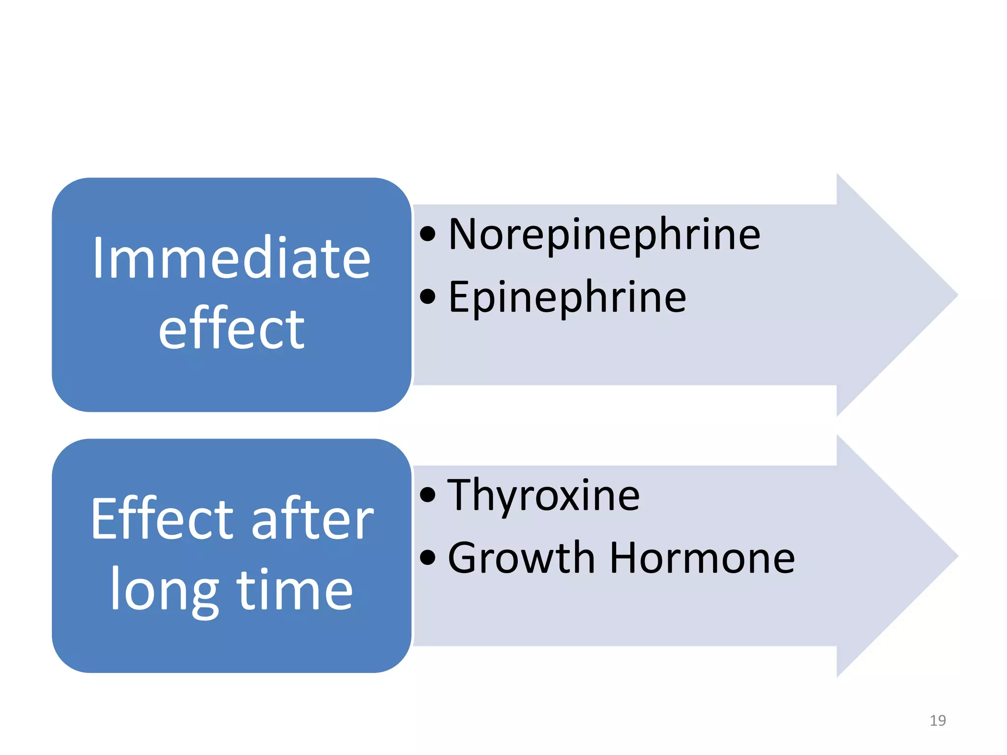 •Norepinephrine
•Epinephrine
Immediate
effect
•Thyroxine
•Growth Hormone
Effect after
long time
19
 