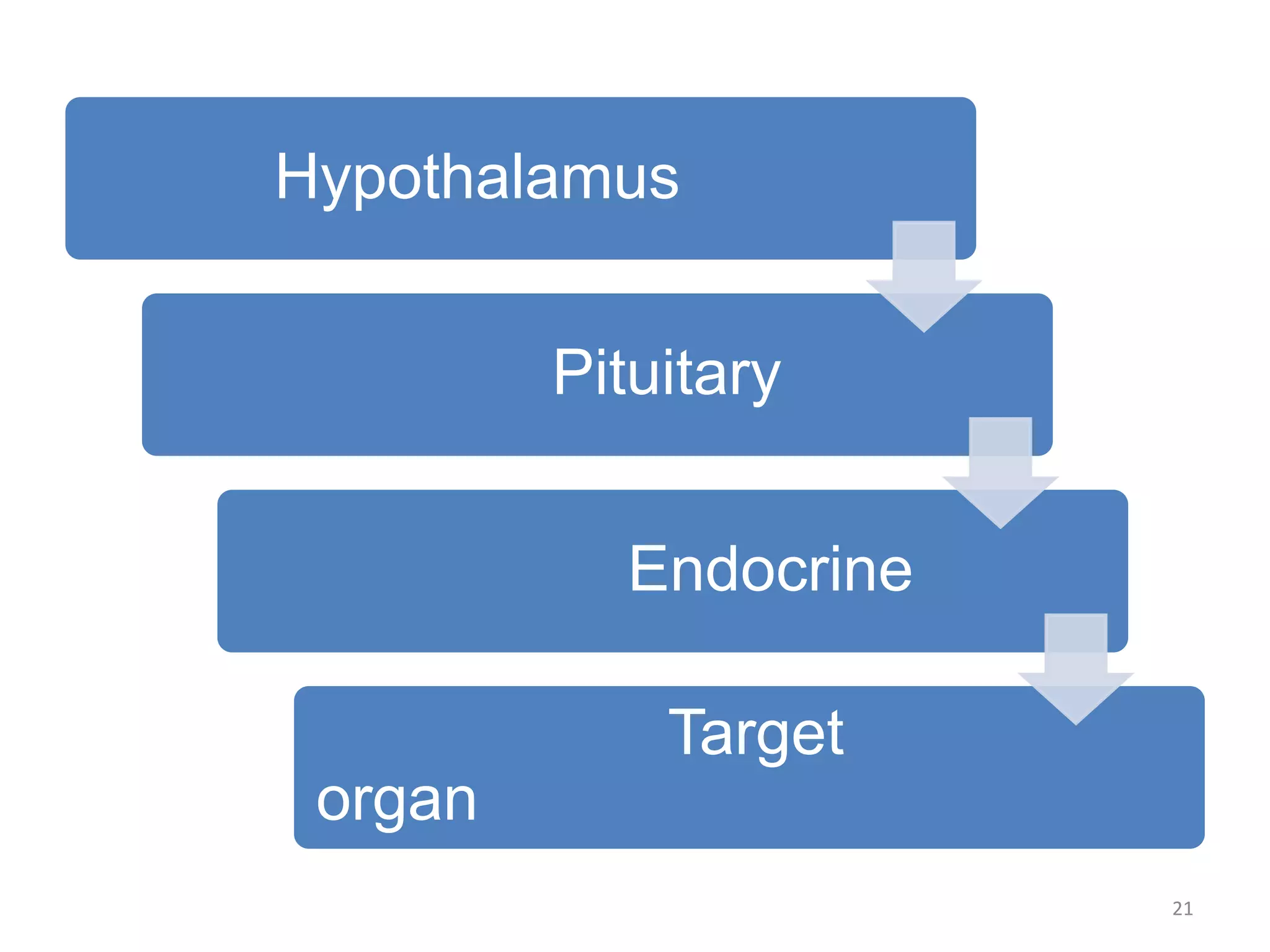 Hypothalamus
Pituitary
Endocrine
Target
organ
21
 