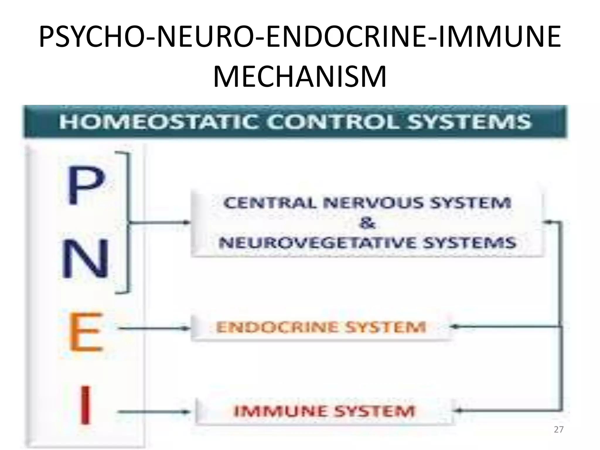 PSYCHO-NEURO-ENDOCRINE-IMMUNE
MECHANISM
27
 