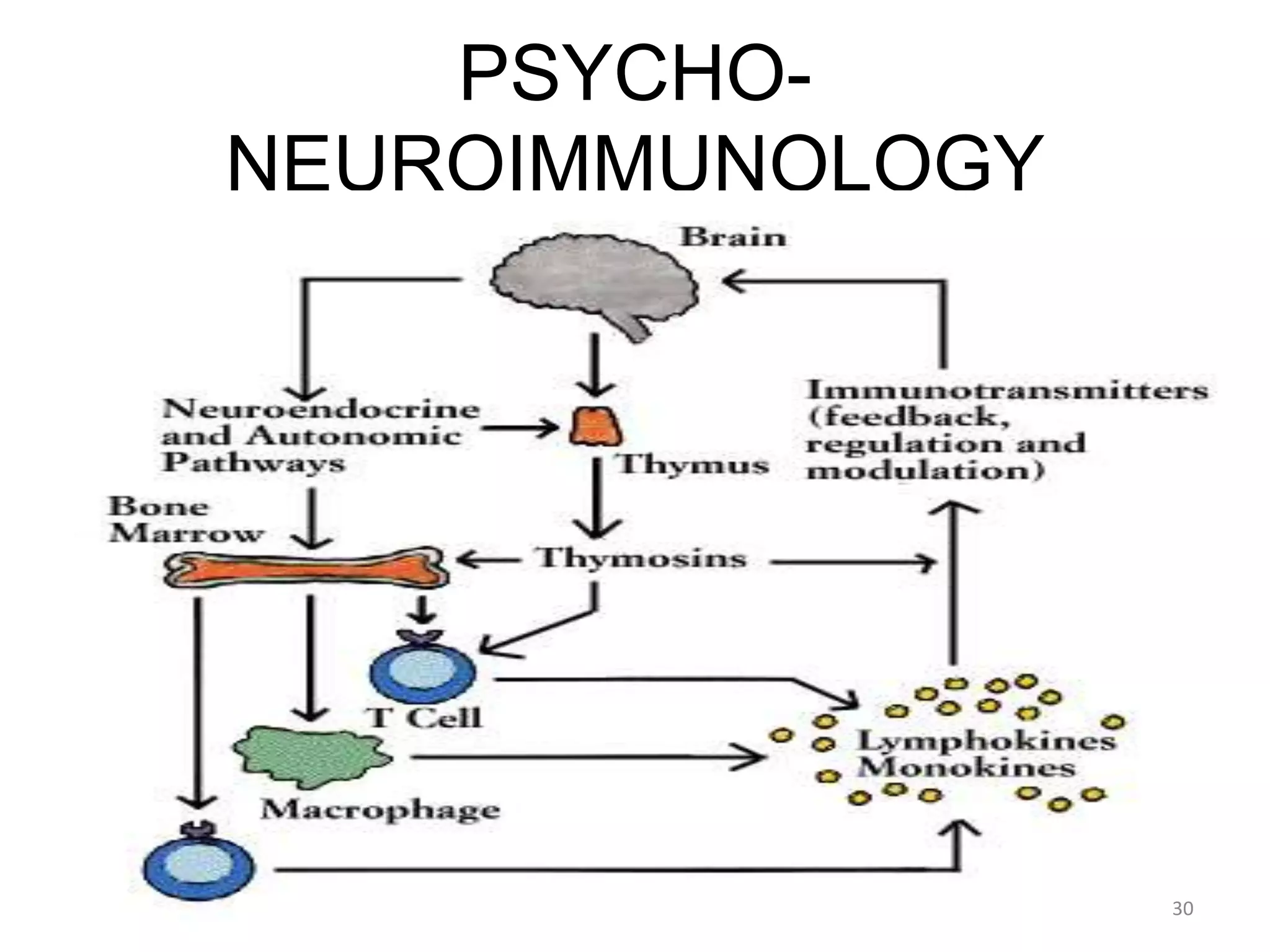 PSYCHO-
NEUROIMMUNOLOGY
30
 