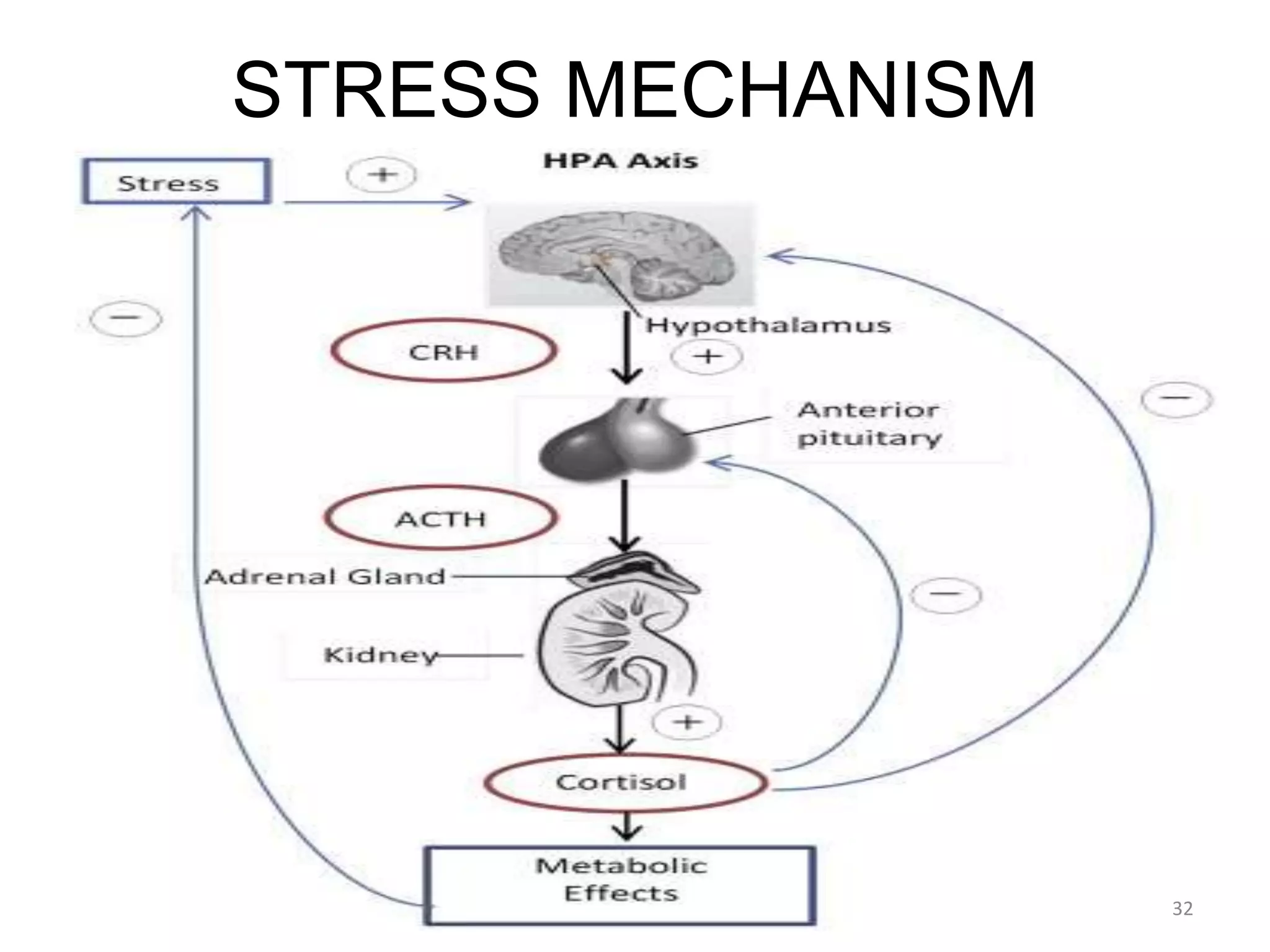 STRESS MECHANISM
32
 