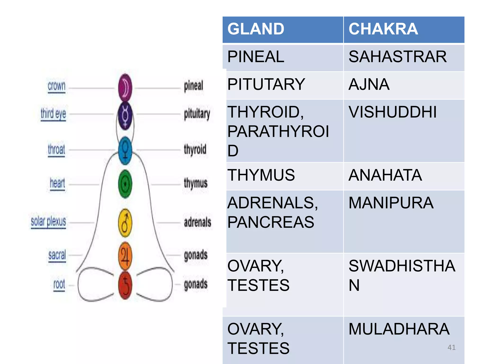 CHAKRAS AND GLAND
GLAND CHAKRA
PINEAL SAHASTRAR
PITUTARY AJNA
THYROID,
PARATHYROI
D
VISHUDDHI
THYMUS ANAHATA
ADRENALS,
PANCREAS
MANIPURA
OVARY,
TESTES
SWADHISTHA
N
OVARY,
TESTES
MULADHARA
41
 