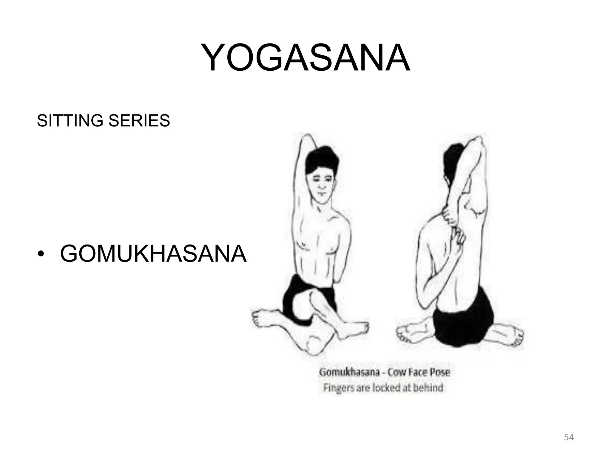 YOGASANA
SITTING SERIES
• GOMUKHASANA
54
 