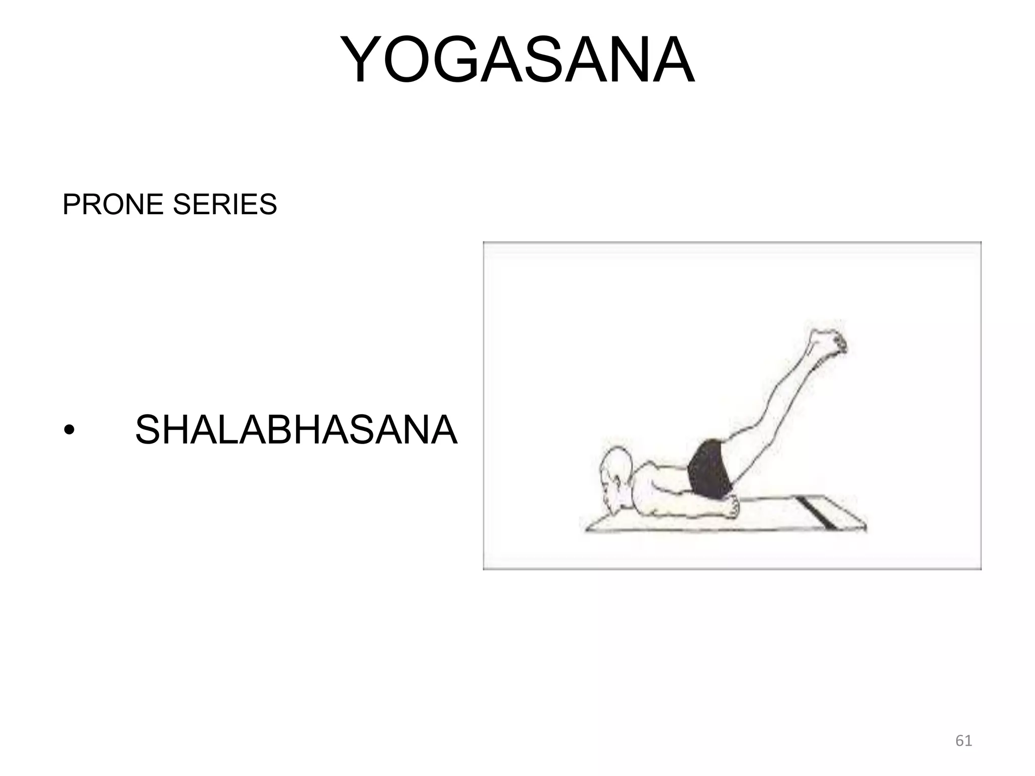YOGASANA
PRONE SERIES
• SHALABHASANA
61
 