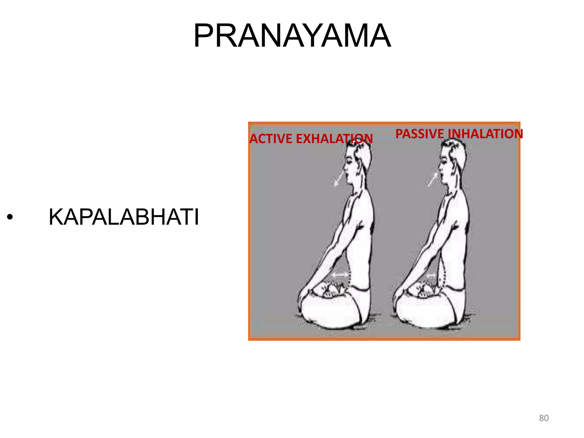 PRANAYAMA
• KAPALABHATI
ACTIVE EXHALATION PASSIVE INHALATION
80
 