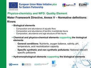 The role of physico-chemical parameters in the WFD process | PDF