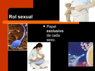 Rol sexual Papel  exclusivo  de cada sexo. 