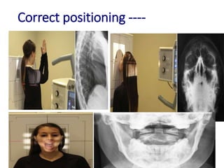Dynamic Position Radiology Roles and responsibility of Radiology professional | PPTX