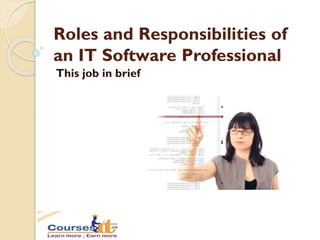Roles and Responsibilities of
an IT Software Professional
This job in brief
 