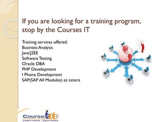 Roles and responsibilities of an IT software professional | PDF