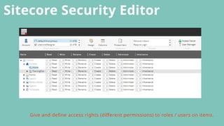 Mastering Sitecore Users Roles and Security: A Beginner's Guide to ...