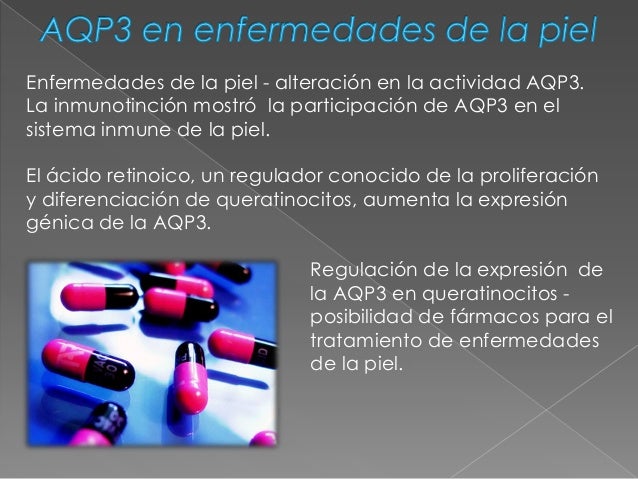 Roles de la acuaporina 3 en la epidermis