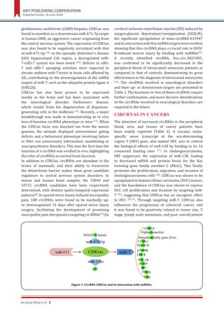 Roles of circular rn as and their interactions with micro rnas in human ...