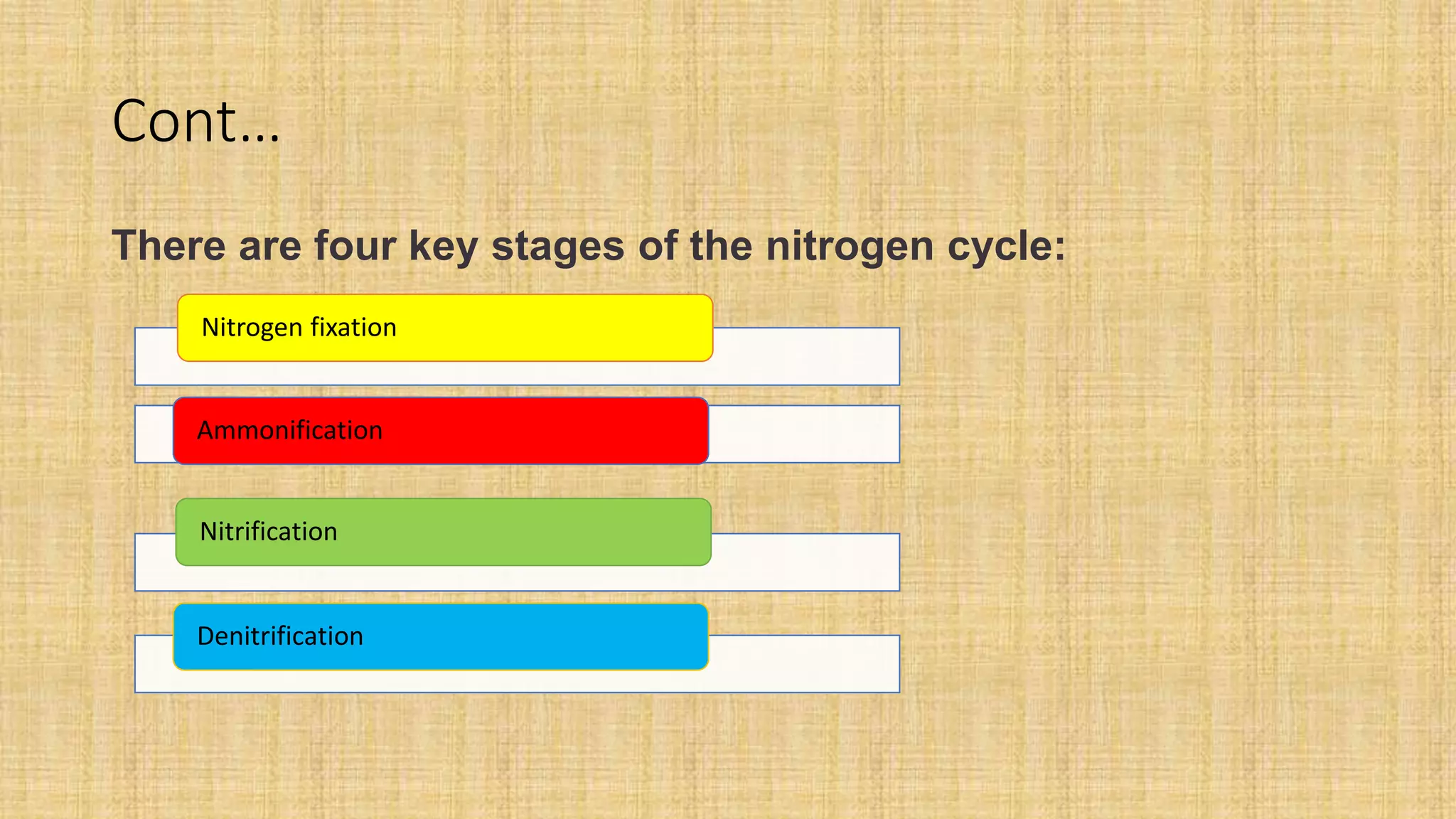 Roles of microbes in nitrogen cycle aritriya | PPTX