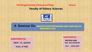 West Bengal Universityof Animal and Fishery Sciences
Faculty of Fishery Sciences
A Seminar On: AQUATIC MICROORGANISMS AND THEIR ROLE IN
NITROGEN CYCLE
Submitted to:
PROF. T.K. GHOSH
Dept. of AQC
Submitted by :
ARITRIYA JANA
Roll- M/F/2020/05
Year : 2020-2021
 