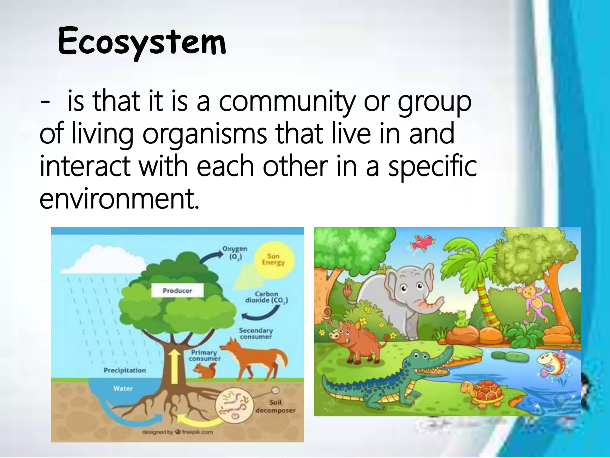 Which Of The Following Correctly Defines An Ecosystem Roles of Organisms in the Ecosystem | PPT