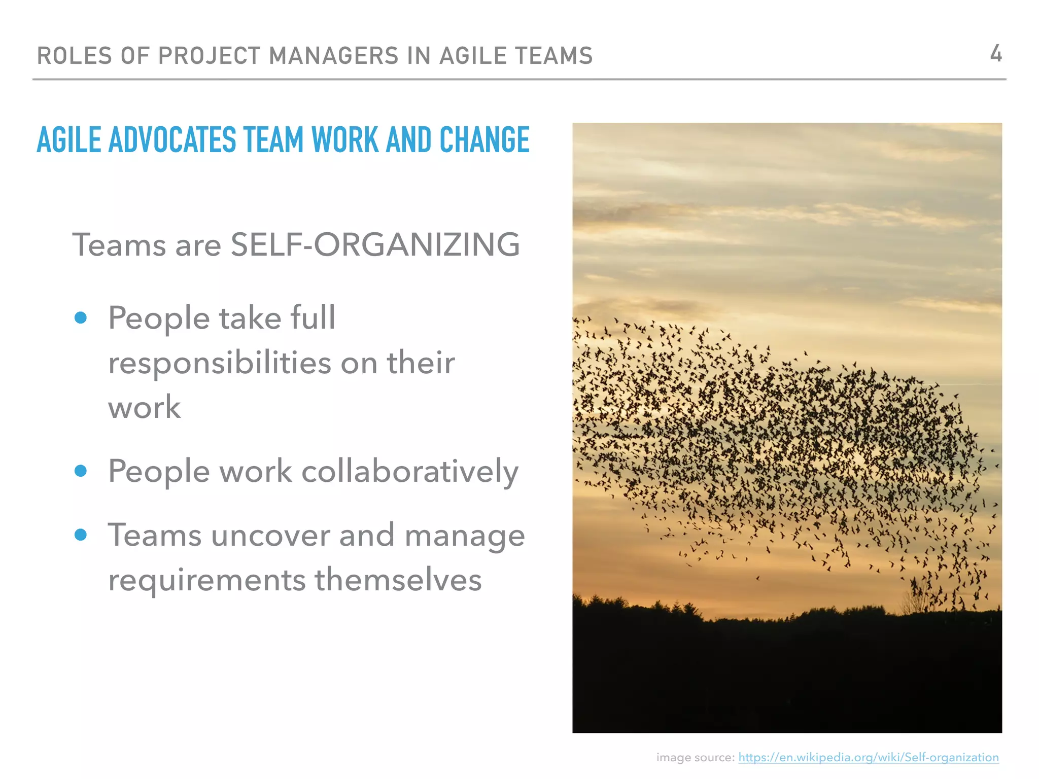 Roles of Project Managers in Agile Teams | PDF