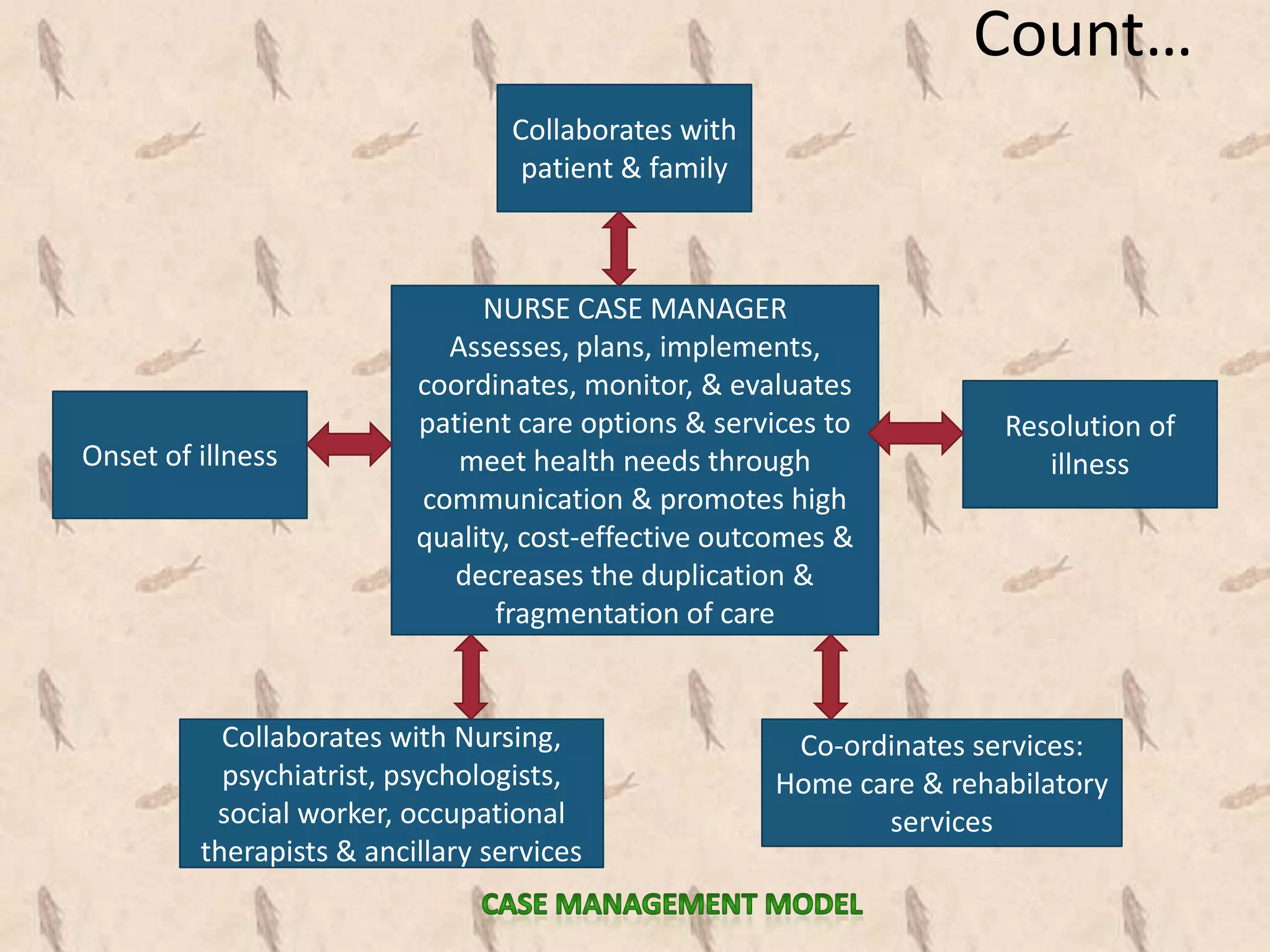Roles of the psychiatric mental health nurse in contemporary mental ...