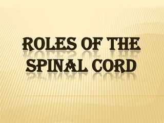 ROLES OF THE
SPINAL CORD
 